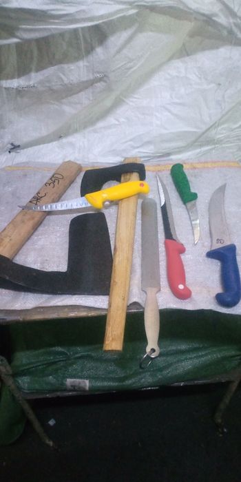 Satare pt tomcat carne