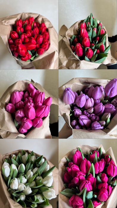 Тюльпаны оптом и в розницу