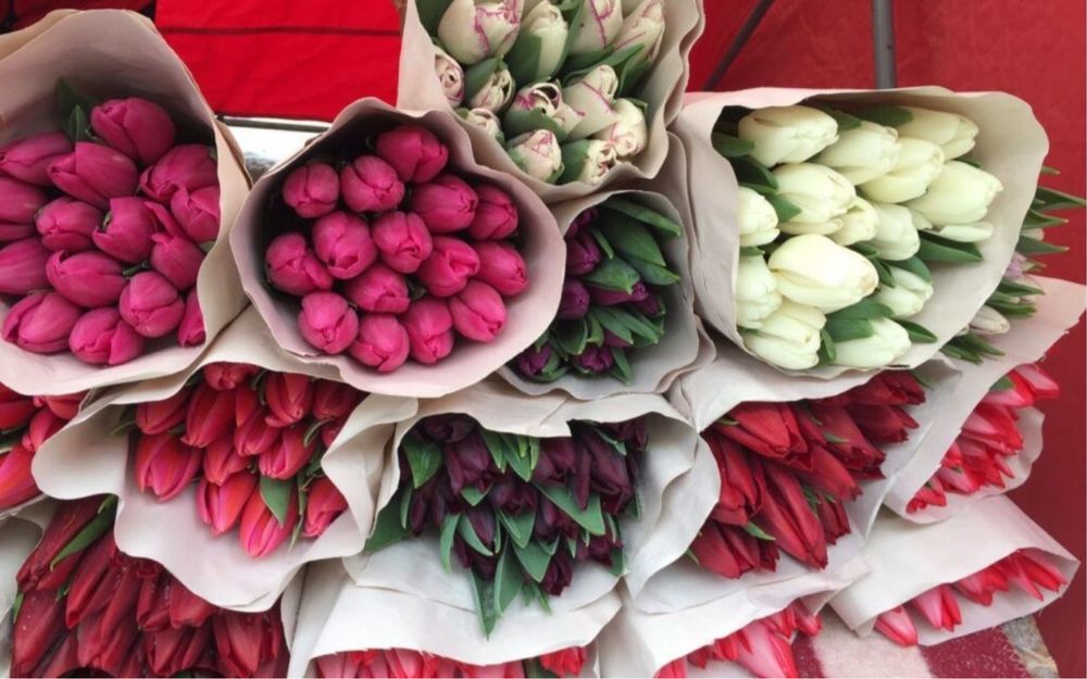 Тюльпаны премиум класса