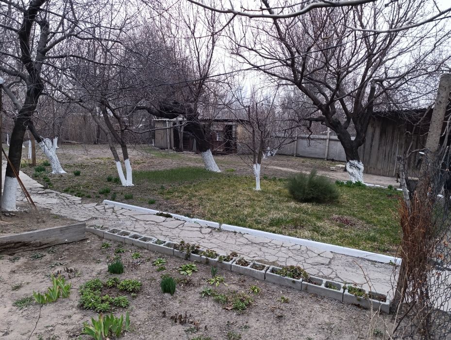 Продам дом в чилике