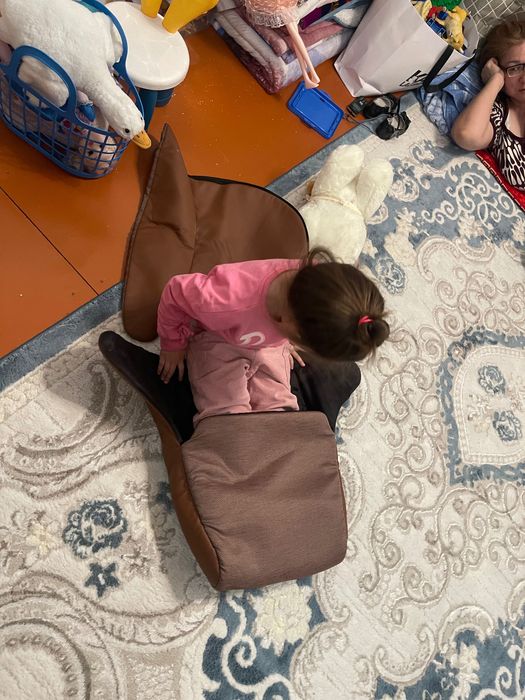 Коляска anex m type