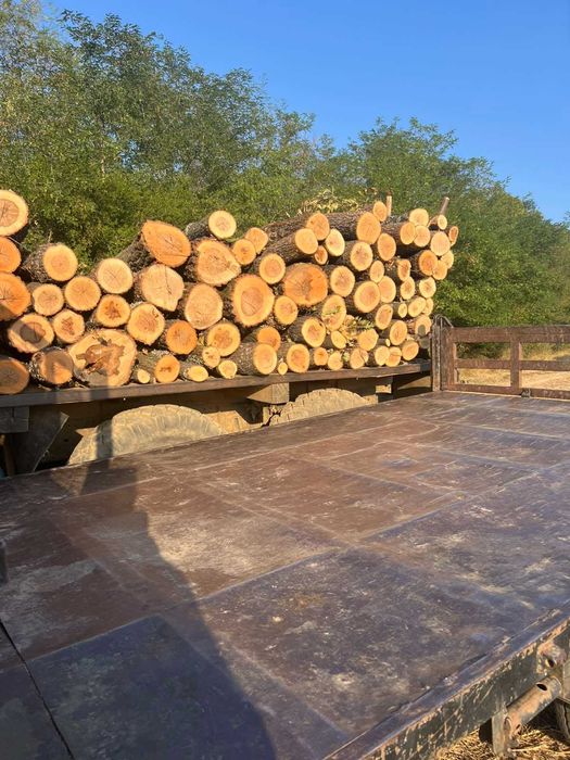 Дърва за огрев Дъб Бук