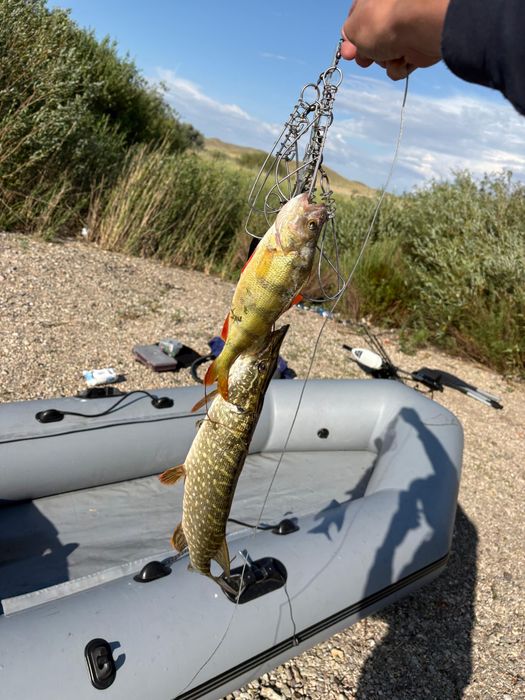 Лодка с электро моторм