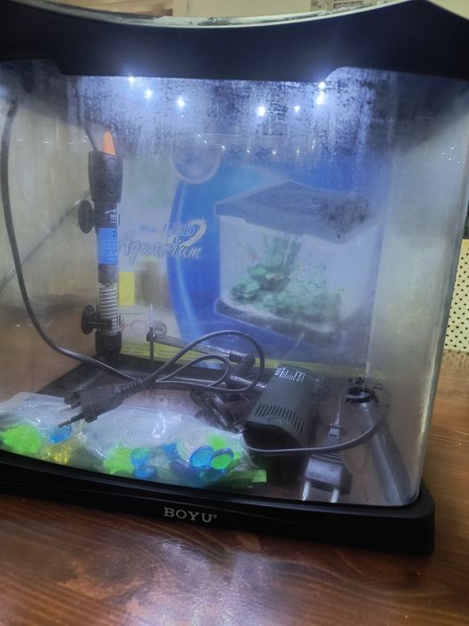 Acvariu Boyudsl 315