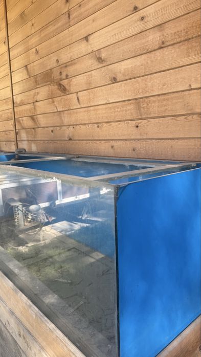 Продаётся большой аквариум (580 литров)