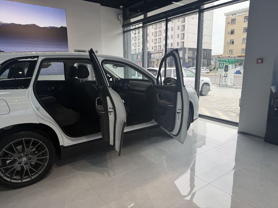 Other C10 REEV 2025 — 5