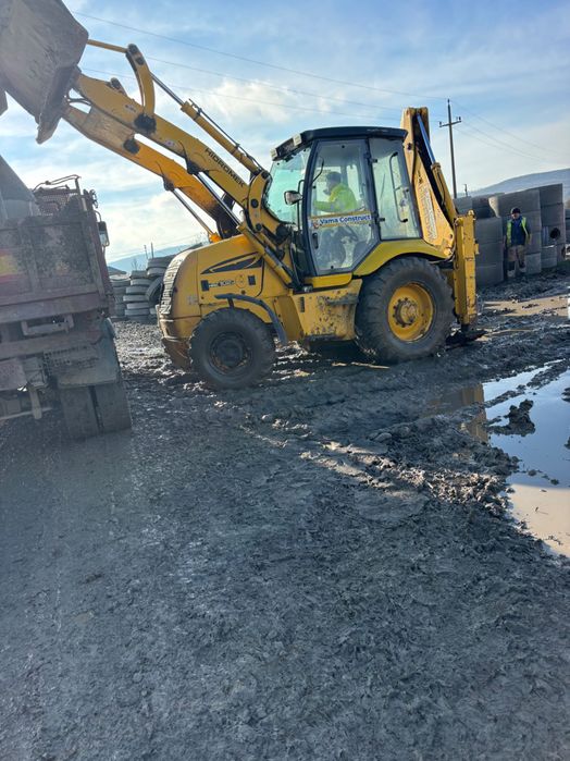 Vând oi Dorper rasă pura,