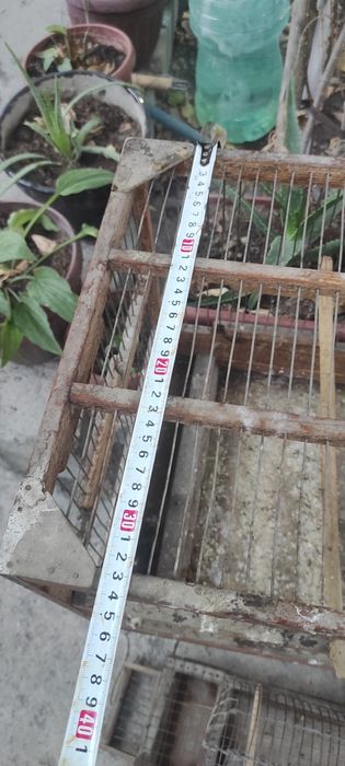 Клетка ,катаклар