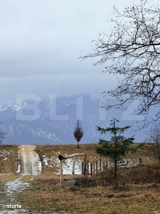 Teren in suprafata de 80.000 mp, situat in Glajerie – Rasnov EXTRAVI