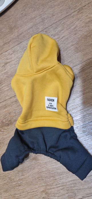 Новая одежда для собак