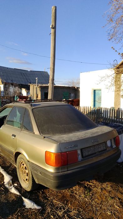 налок салынган тех жок