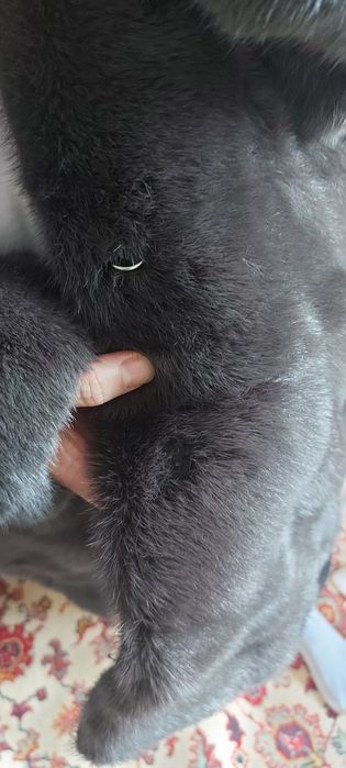 Шуба норковая, б/у