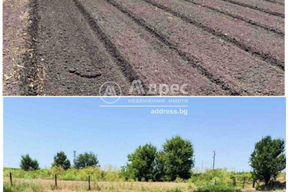Продава се Земеделски имот в Разград, Център -  кв.м за 24000 €/дка - Снимка #4