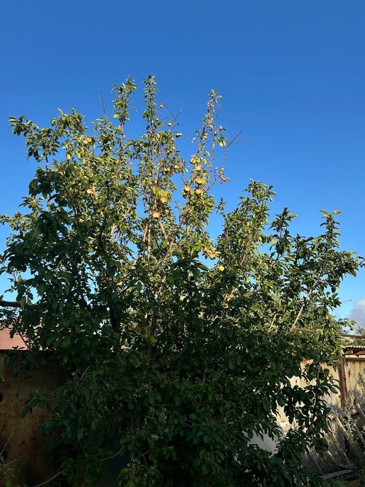 Продается большой дом