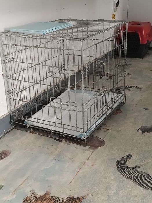 Cusca Custi Plianta Pliabila Pliabile Pliante Caini Pisici Animale Transport Sau Cabinet Veterinar