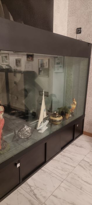 Аквариум для рыбок. Большой