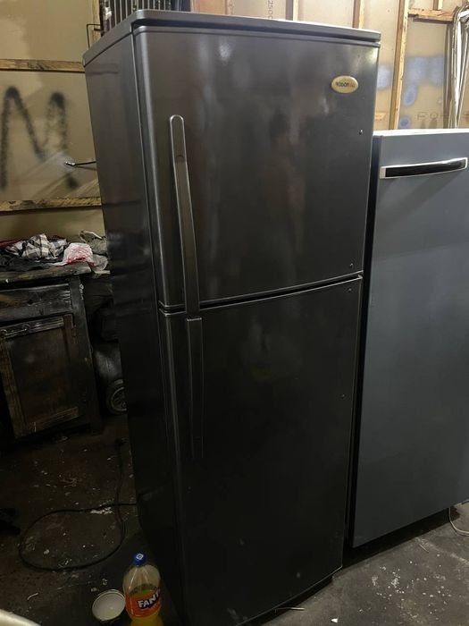 Roysin xaladelik muzlatgich