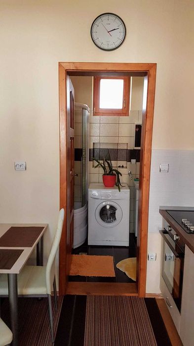 Ofer spre inchiriere apartament ultracentral cu o camera si dependinte