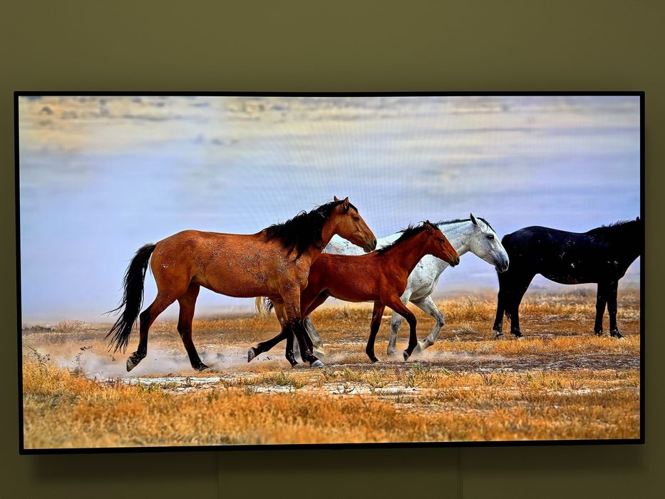 TV OLED LG 65 inch (164 cm) Clasa Premium