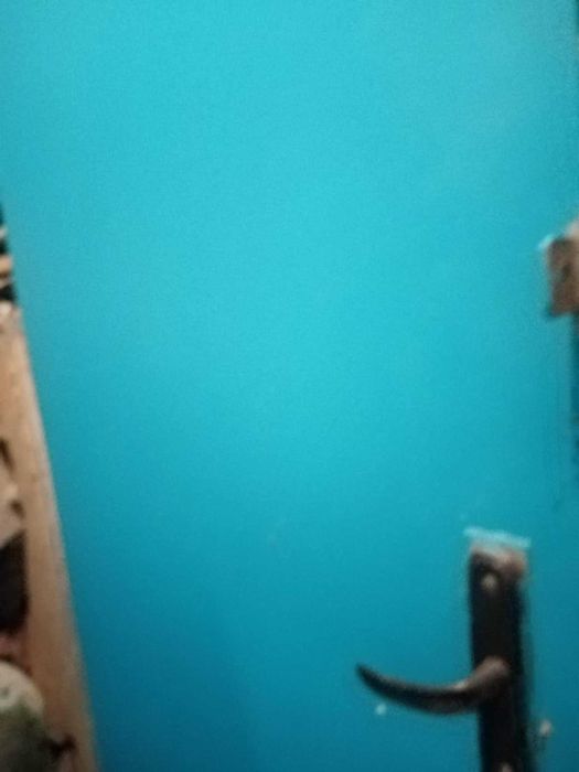 Желязна масивна врата