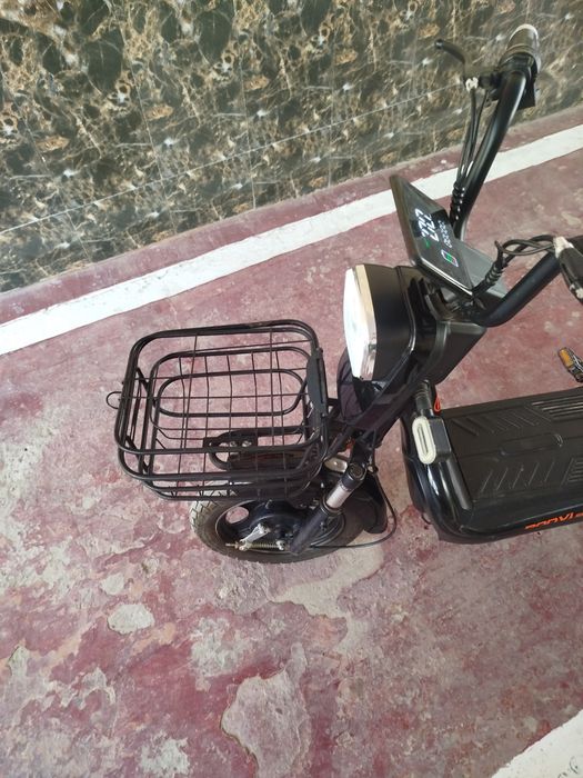 Sucuter bonvi, maped