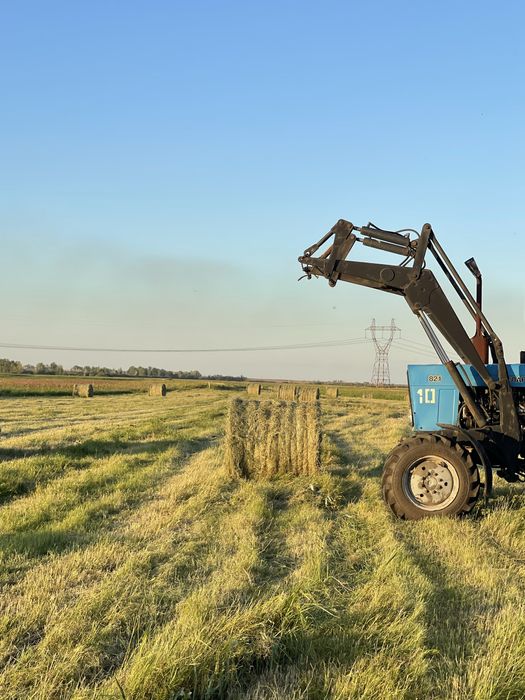 Сено луговое этого года