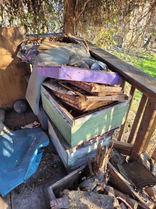 Stupi albine goi și cu rame