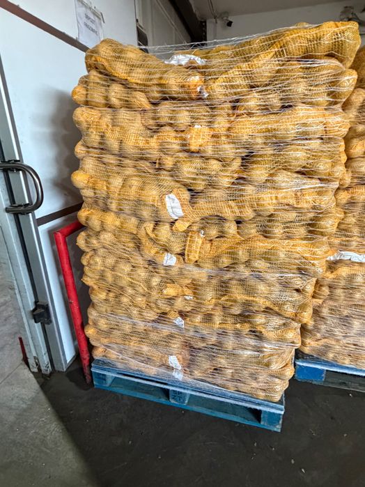 Cartofi EN-GROS calibru 70+ Belgia – Germania – Franța | Spălați 10 kg