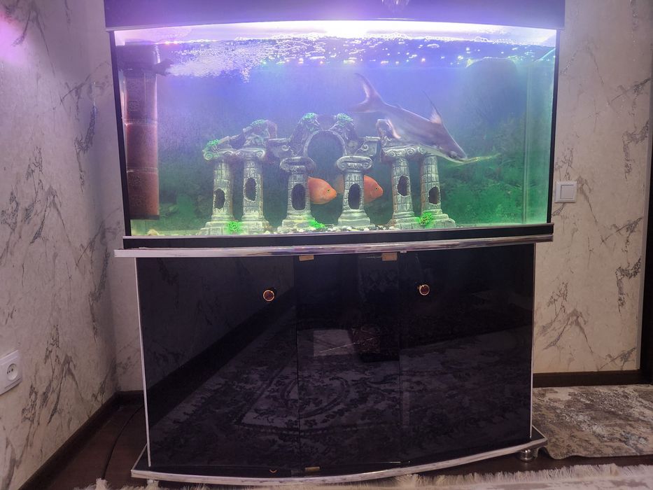 Akvarium sotiladi