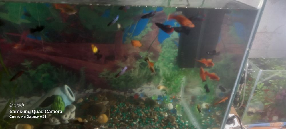 Продам аквариумы качественные
