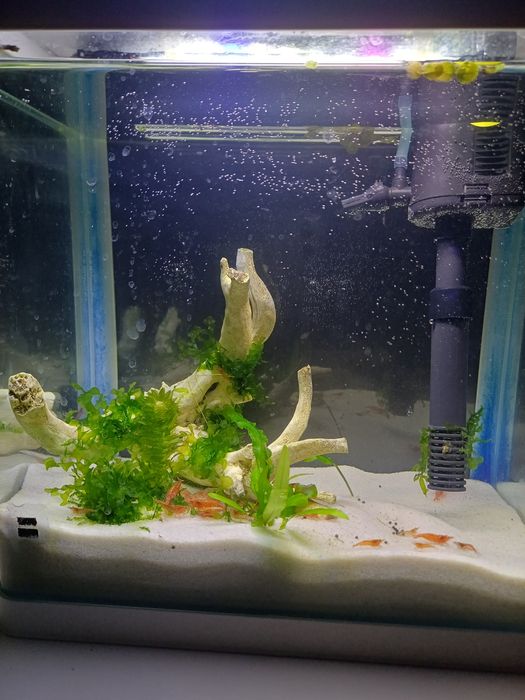 Креветочник 9 литров