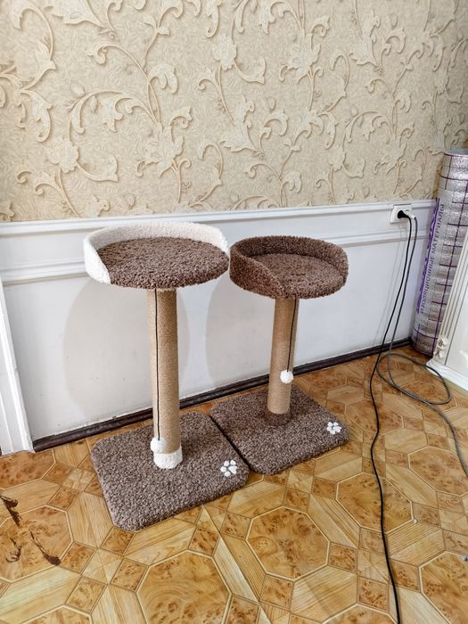 Когтеточка для кошек. Лежанка для кошки. Ассортимент домиков для кошек