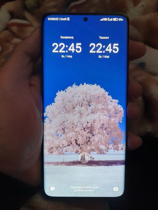 Xiaomi 12 Pro_12/256