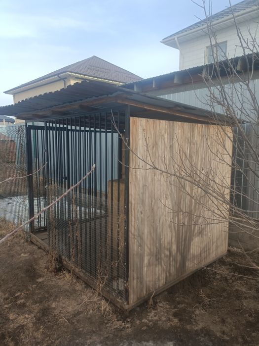 Вольер для собак