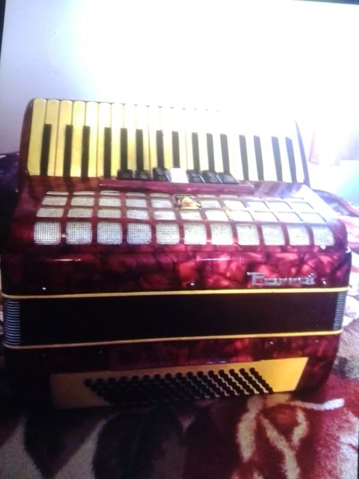 Acordeon parota 96 de bași