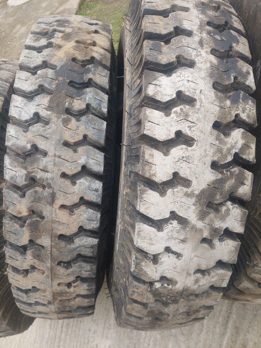 Roti 9.00 r 20 danubiana