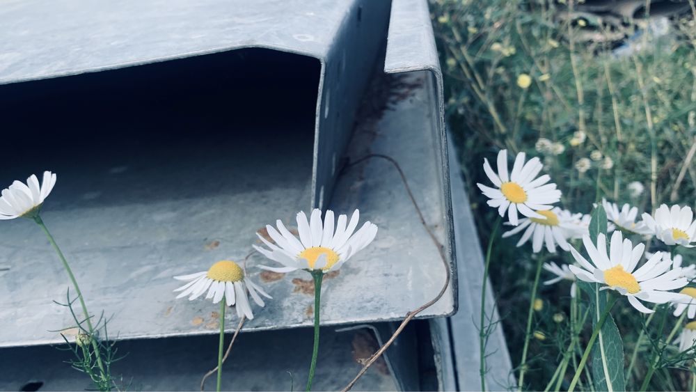 Оцинкованные листы