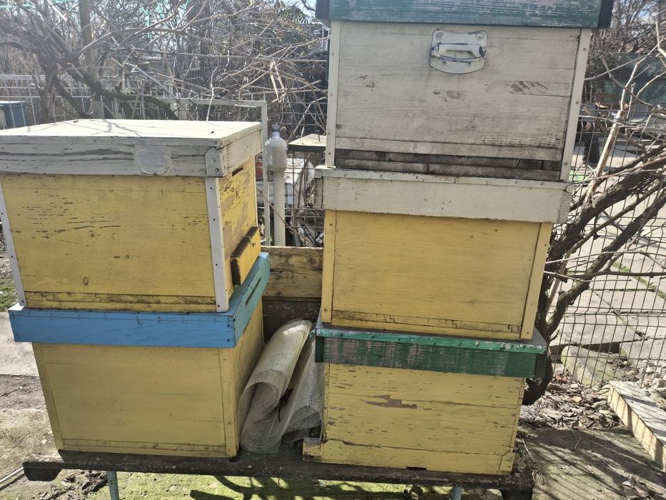 Vand cutii stupi de albine