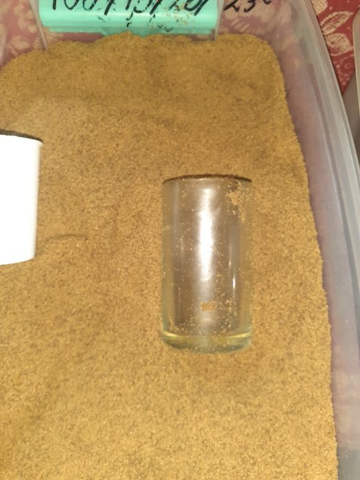 Продаю корма для рыб