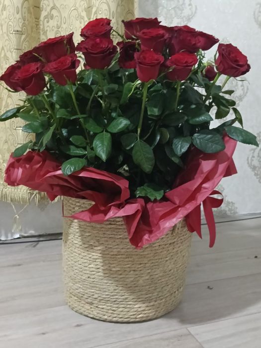 Розы 35 штук  бу свежие