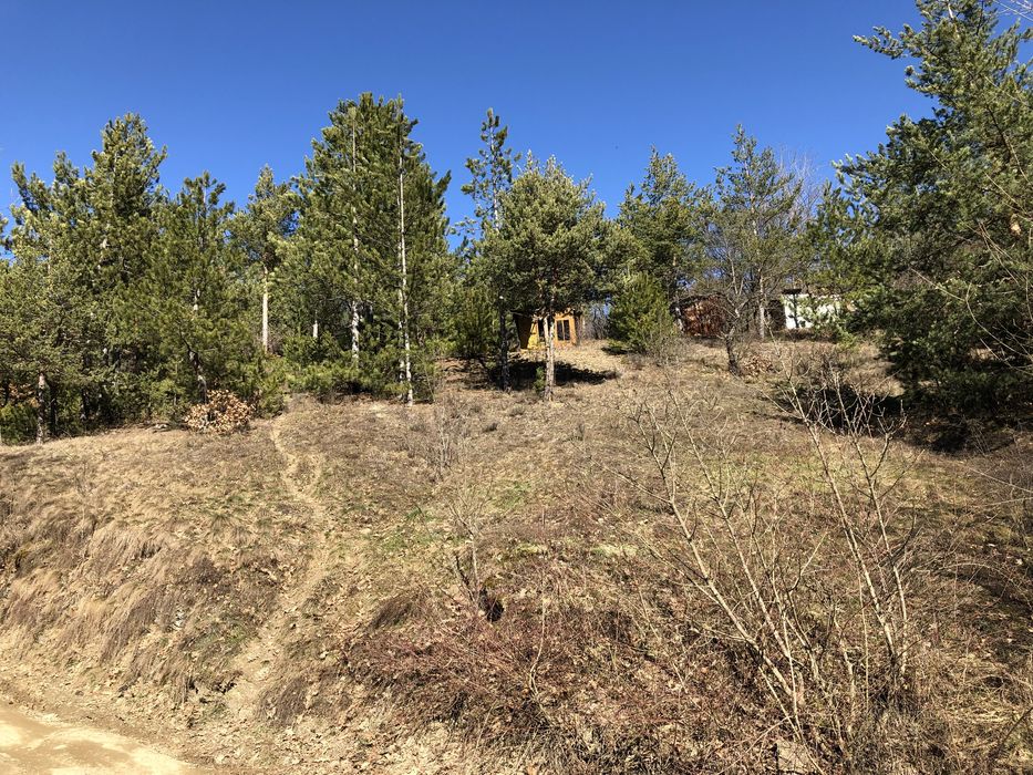 Продава се Парцел в с. Луково, Област София-област - 840 кв.м за 28 €/кв.м - Снимка #12