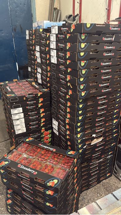 Клубника Египит