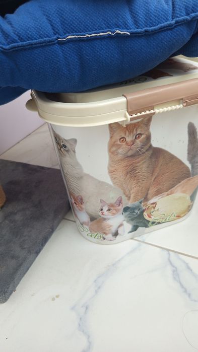 Для кошки или котика