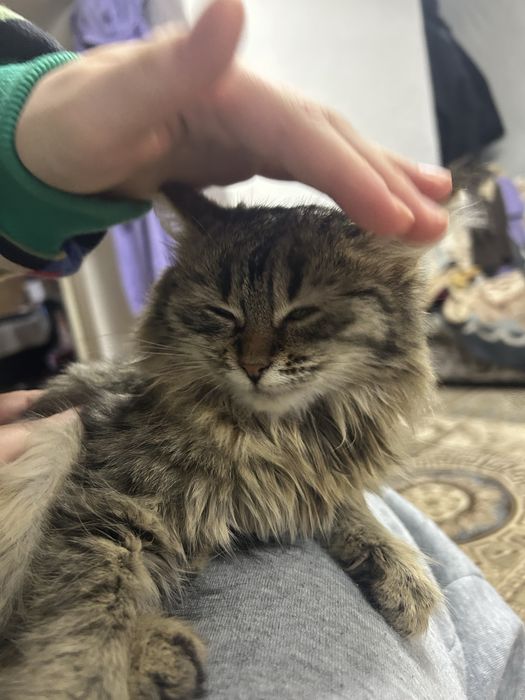 5 месяцев девочка