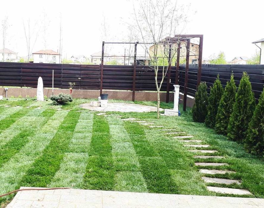 Gazon Verde pentru Case, Vile si Spatii Comerciale