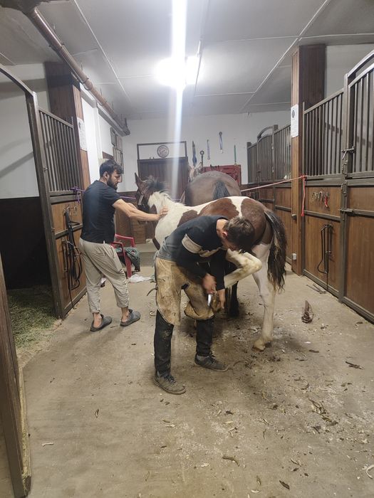 Ковка расчистка копыт лошадей. Ат тагалау