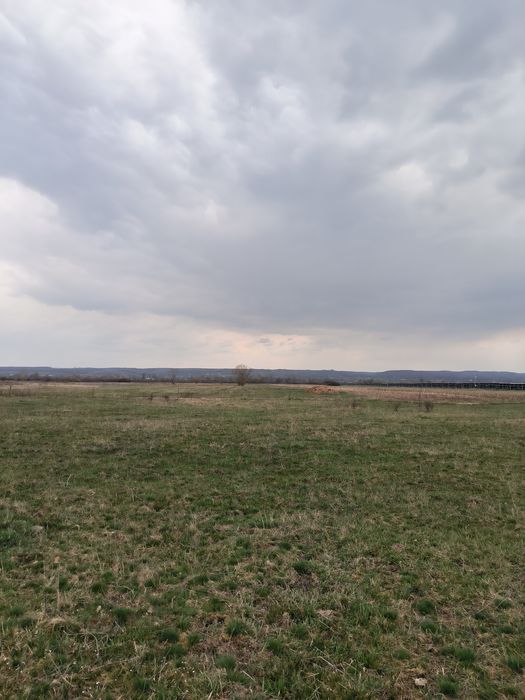 Teren Bucureasa-Danesti 10.000mp