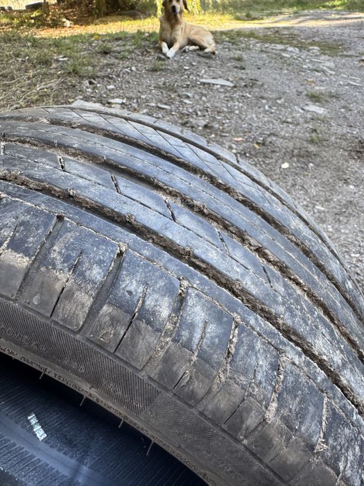 Летни гуми 3 броя 205/50/15 цола - 30 лв на бр.