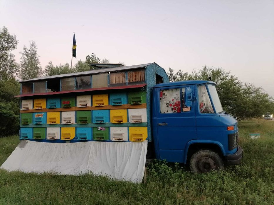 Se vinde pavilion apicol