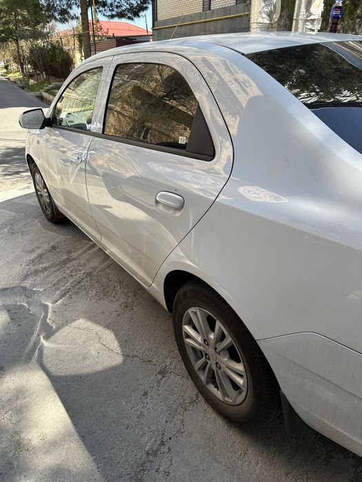 Кобольт 4 позиция 2023